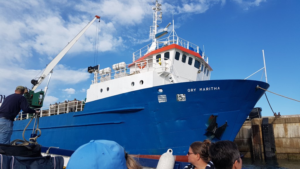 2019-08-17 09.01.23.jpg